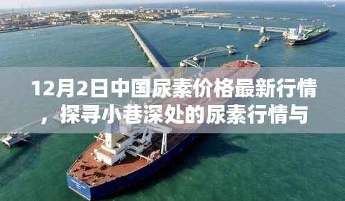 12月2日中国尿素价格最新动态，小巷深处的行情与特色小店探秘
