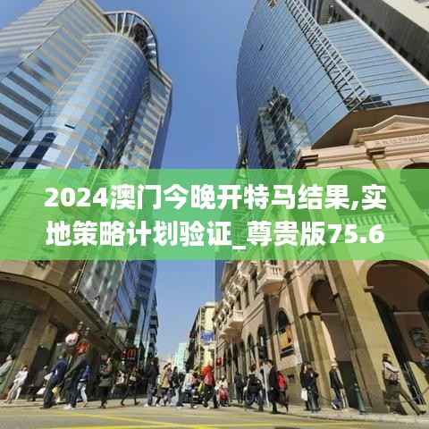 2024澳门今晚开特马结果,实地策略计划验证_尊贵版75.654-6