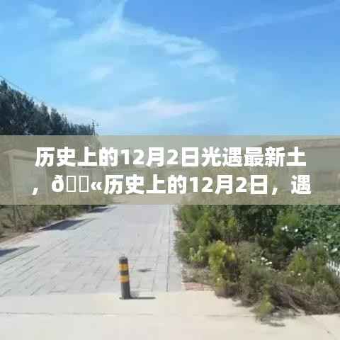 历史上的12月2日科技之光，探索最新高科技产品光遇最新土之旅