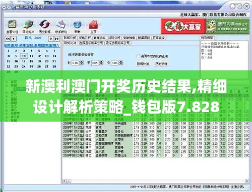 新澳利澳门开奖历史结果,精细设计解析策略_钱包版7.828