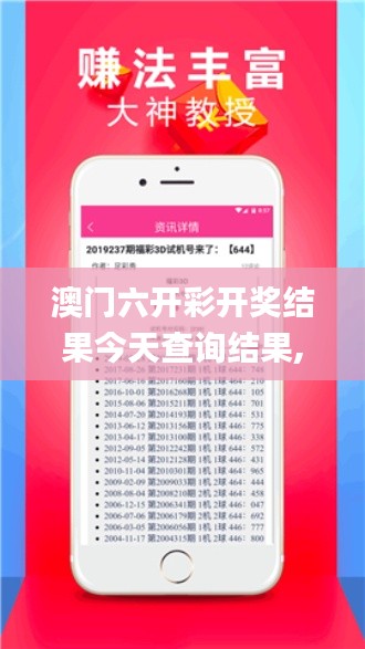 澳门六开彩开奖结果今天查询结果,效率解答解释落实_FT1.537