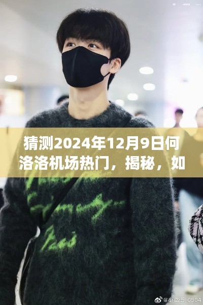 揭秘何洛洛机场人气巅峰预测,2024年12月9日出行指南与热点猜测