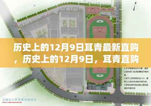 耳青直购带你穿越历史，开启心灵与自然的美妙之旅——历史上的十二月九日特别直购活动