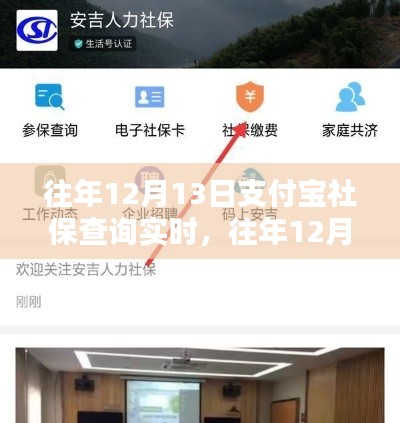 支付宝社保查询实时体验，便捷操作与实时更新服务