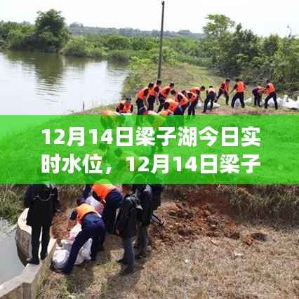 深度解析,多方观点下的梁子湖水位实时动态报告