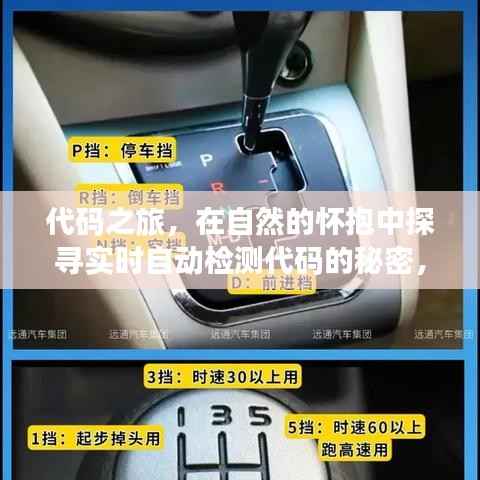 气宇轩昂 第2页