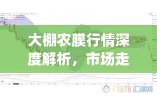 大棚农膜行情深度解析，市场走势、价格及影响因素全揭秘