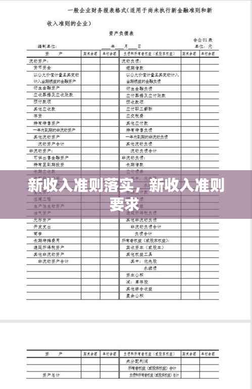 新收入准则落实，新收入准则要求 