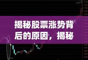 揭秘股票涨势背后的原因，揭秘股票为何会在2015年大涨？